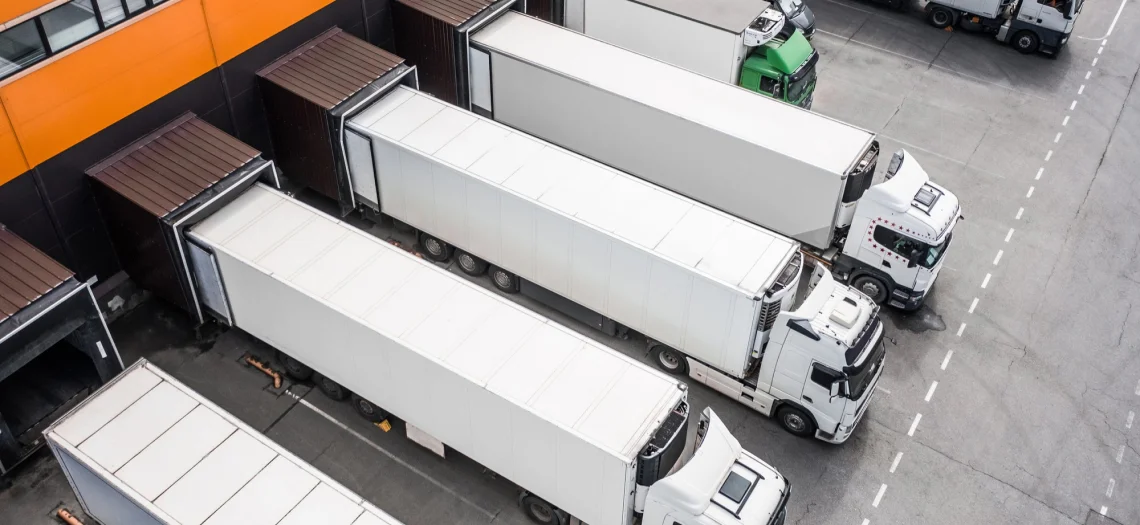 MRZ Holding | Contact